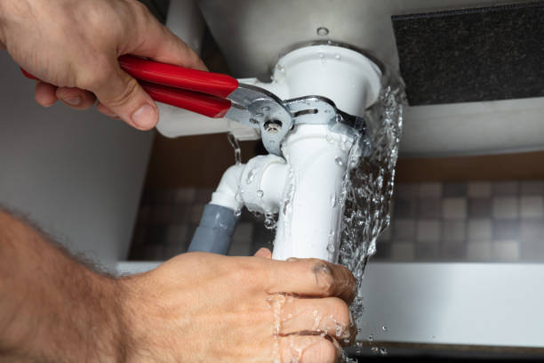Best Mold removal after water damage  in Bryan, OH