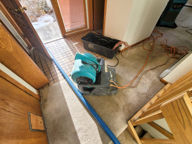 Best Commercial water damage restoration  in Bryan, OH
