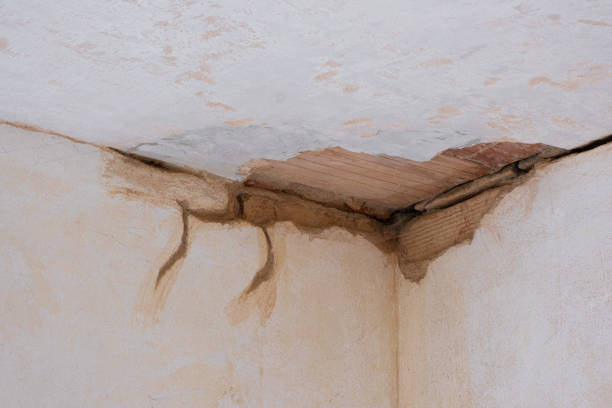 Best Emergency water damage restoration  in Bryan, OH
