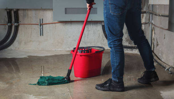 Best 24-hour water damage restoration  in Bryan, OH