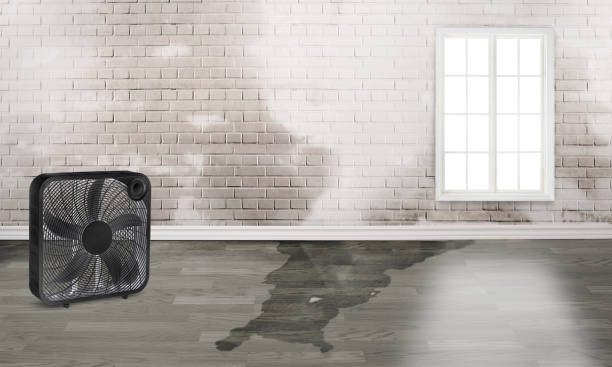 Best Ceiling water damage repair  in Bryan, OH