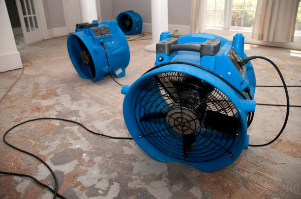 Best Flooded house restoration  in Bryan, OH