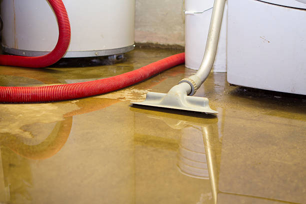 Sewage cleanup and water damage restoration in Bryan, OH