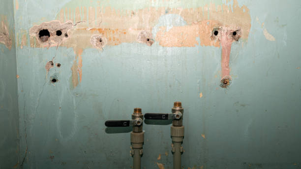 Best Residential water damage restoration  in Bryan, OH
