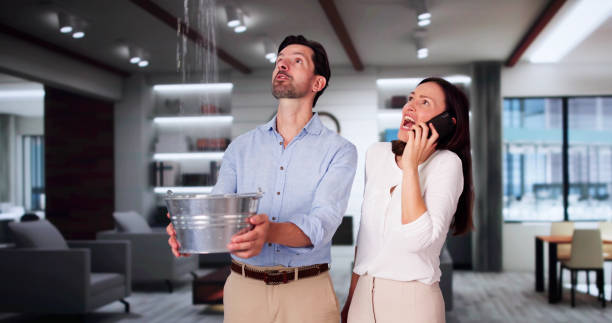 Best Flood damage cleanup  in Bryan, OH